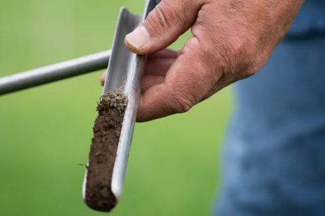 Someone holding a soil core