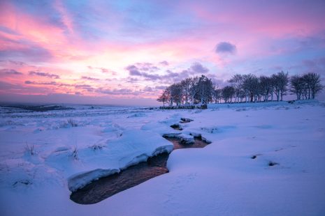 Walkhampton Common, Dartmoor. Photo by Rob Fraser