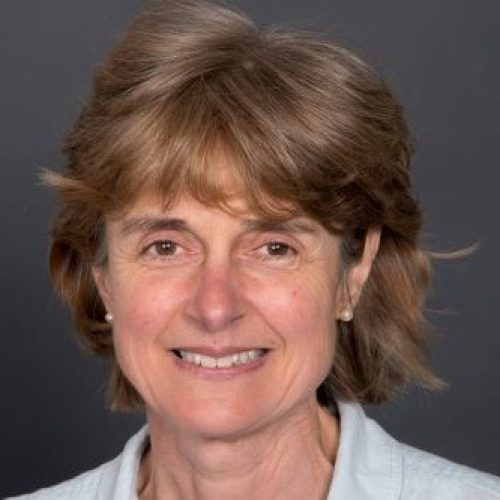 Professor Julie Ingram