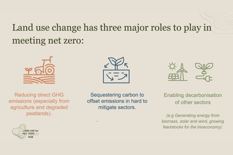 The Role of Land Use Change in Meeting Net Zero