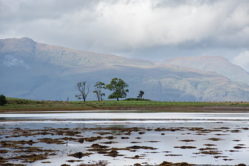 Western Scottish sea loch. Photo by Rob Fraser