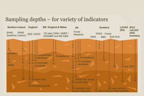 Overview of National Soil Monitoring Schemes