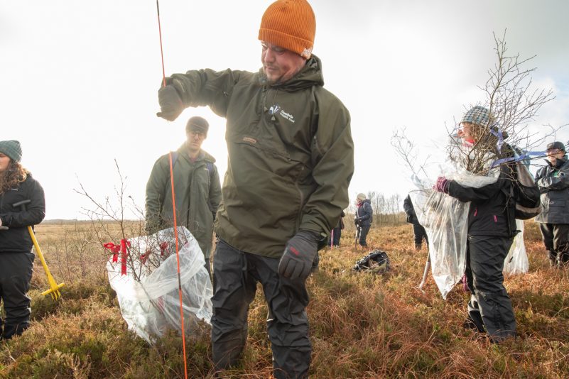 Tom Lemmey, Cumbria Wildlife Trust's Peatland Conservation Officer taking a peat depth measurement where the trees were removed from (1.6 metres). Image by Rob Fraser