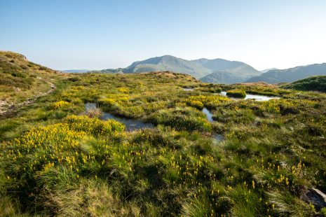 The Land Use Framework for England - How can it deliver for soils?