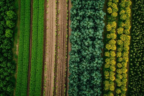 Save the Date: Within Value Chain Mitigation - how organisations can reduce their Scope 3 GHG emissions via their agricultural supply chains Workshop