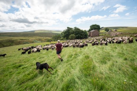From Big Ambitions to Small Print: Can the UK Make Conservation Finance Work?