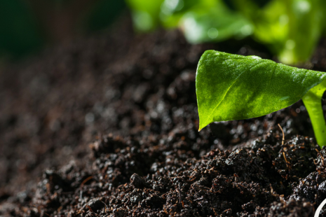 Soil Carbon Baselining Workshop