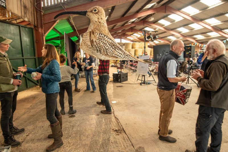 Carbon Calling featured a wandering curlew. Image by Rob Fraser, PLACE Collective