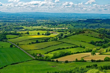 Within Value Chain Mitigation: How organisations can reduce their Scope 3 GHG emissions via their agricultural supply chains