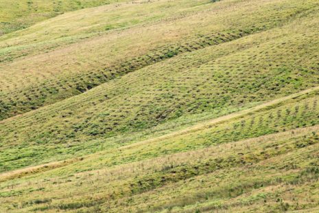 FFCC Land Use Workshops Report