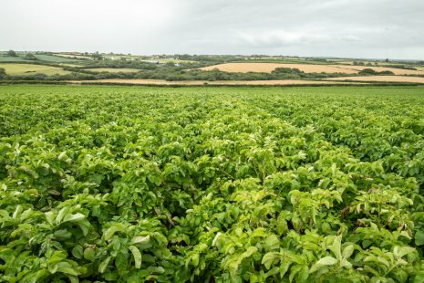 Land Use Decision Making in the UK & Ireland: What can countries learn from each other for a better future?