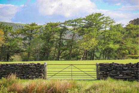 farm gate leading to green fields under blue skies