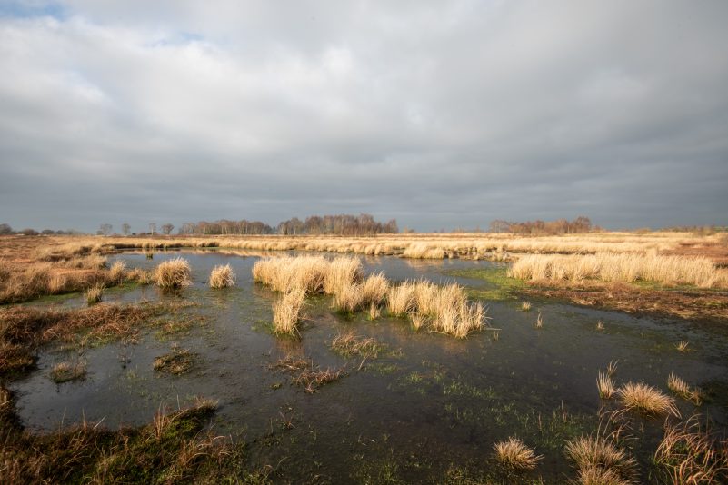 “Be with the bog” – peatlands, policy and poetry at the IUCN UK Peatland Programme Conference