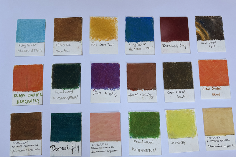 Creative Collaboration Placement Scheme: Daksha Patel at Rothamsted Research