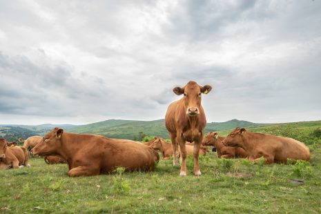 What do we mean by Net Zero literacy in the farming community?