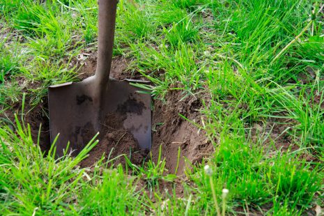 Spade in the soil