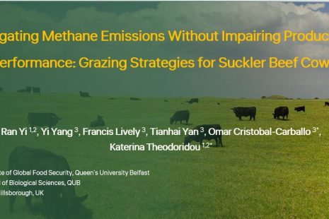 EAAP Highlights: How Our Grazing Strategies Aim to Reduce Methane Emissions