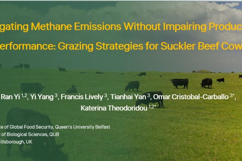 EAAP Highlights: How Our Grazing Strategies Aim to Reduce Methane Emissions