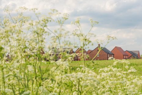 New Build Houses UK Sustainable Housing Development with Wild Flowers Nature Bokeh Foreground, Real Estate Copy Space.