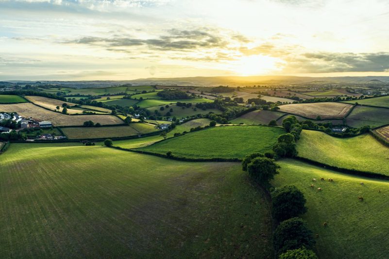 What the Land Use Framework could mean for Soil and Soil Policy