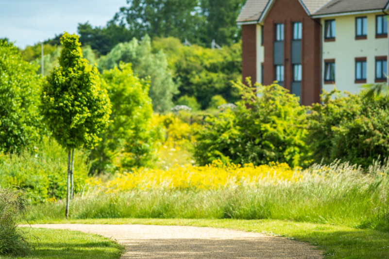 Seven things we learned about Biodiversity Net Gain with Sam Bower, Balfour Beatty