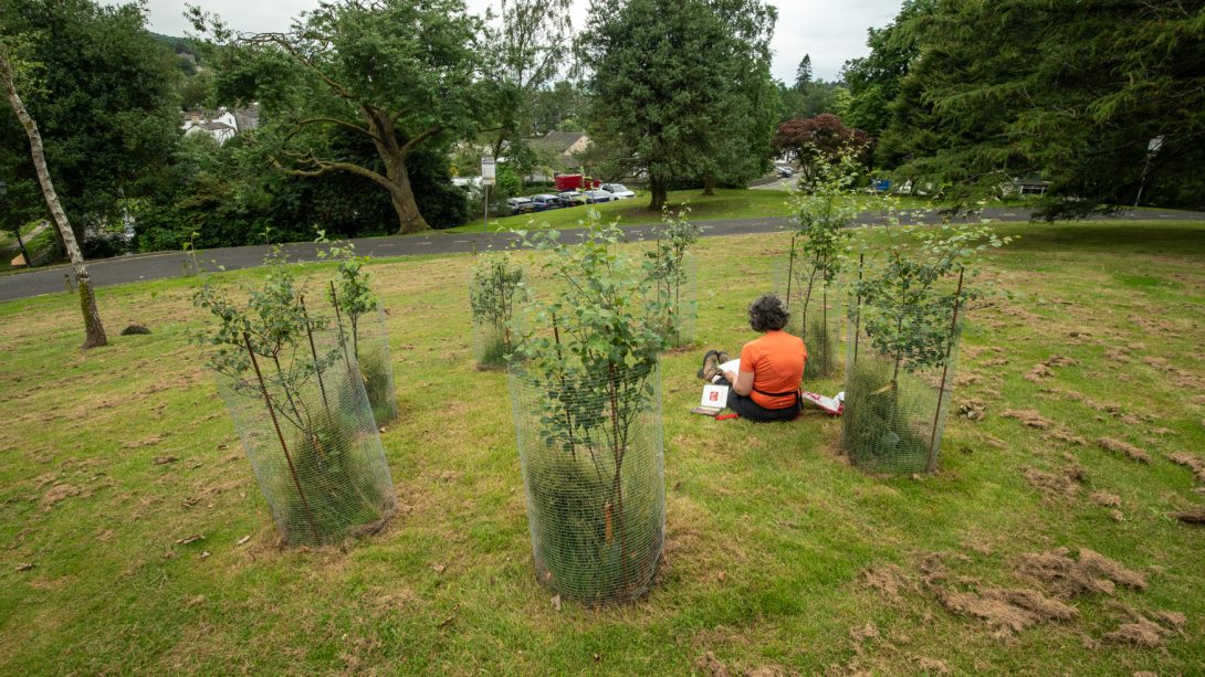 Resonance: Ambleside July 2026
