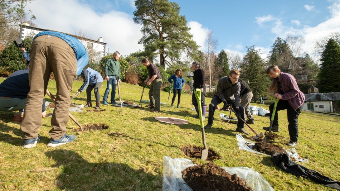 Resonance: Ambleside Planting at the University of Cumbria campus, March 2025