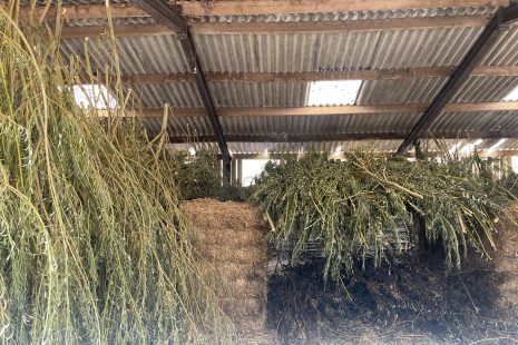 AGROECOLOGY at SCALE