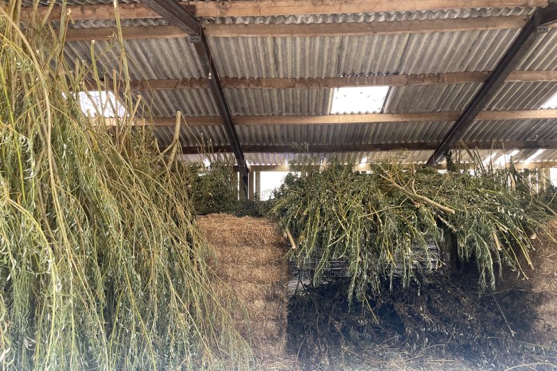 AGROECOLOGY at SCALE