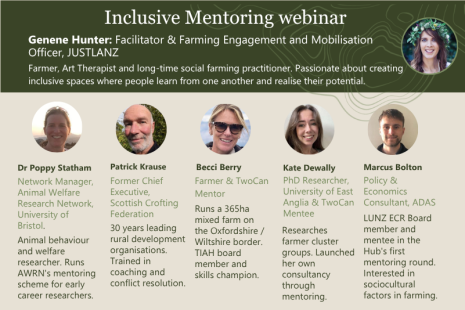 Relationships, Curiosity and Confidence: Insights from the Inclusive Mentoring Webinar